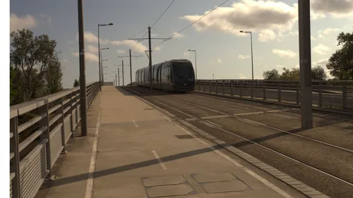 Saint Sylvestre : TBM se mobilise pour assurer un service toute la...