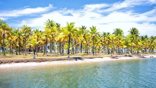 Vincent est au Brésil ... il danse la samba.