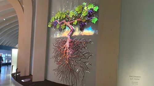 À la Cité du Vin, une exposition permanente (presque) totalement...