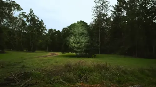 Neil Young & Crazy Horse : un single et une date de sortie pour un...