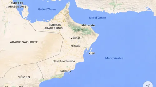 Libération de Cécile Kohler et Jacques Paris : le rôle du Sultanat...