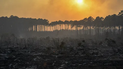 Gironde : les feux n’ont pas progressé durant la nuit