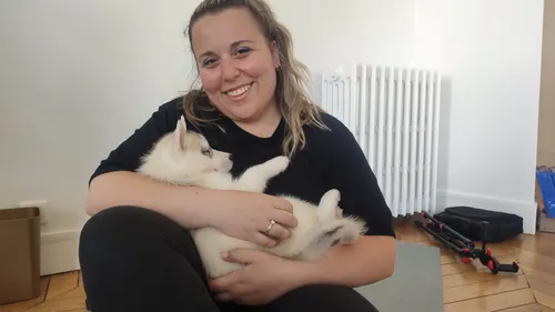 Yoga + chiots trop mignons... on a testé le Puppy Yoga !