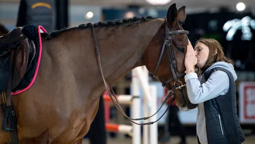 Au Jumping de Bordeaux, des rencontres avec les professionnels de...