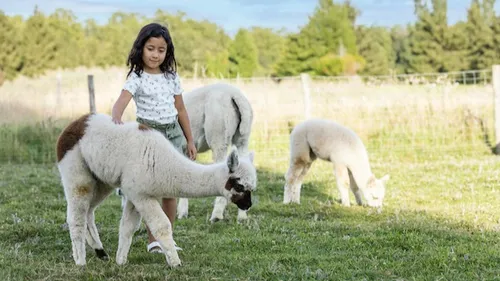 Patinoire, Parrot World, aventure en équipe… : trois idées de...