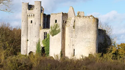 Nos idées sorties pour ce week-end en Bourgogne