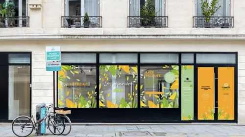 Offrir une plante aux candidats, nouvelle technique pour recruter