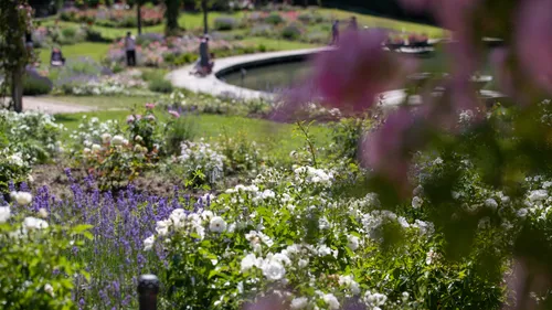 Envie de nature ? La Route de la Rose dans le Loiret vous attend...