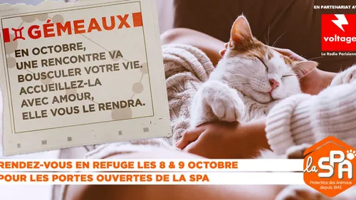Les refuges franciliens de la SPA vous attendent pour des journées...