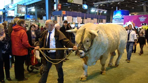 Nouvelle-Aquitaine : "Le Salon de l'Agriculture reste un moment de...