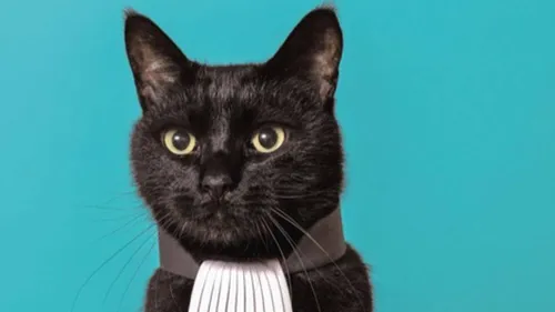 Olivia Symniacos, avocate entièrement dévouée aux animaux