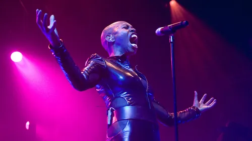 Skunk Anansie de retour avec un single explosif, "An Artist Is An...