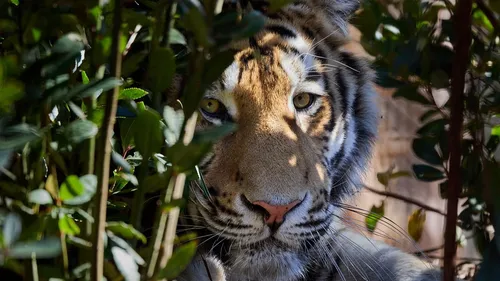 Le Zoo de La Palmyre vous attend dans son tout nouvel écrin