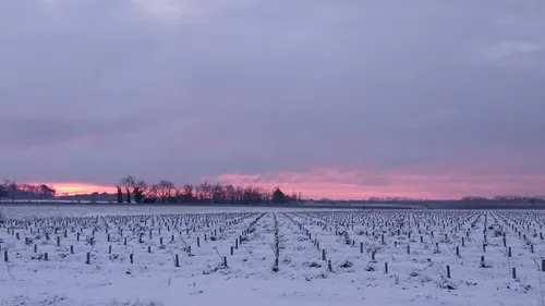 Météo : la neige bien au rendez vous en Gironde et en Dordogne !