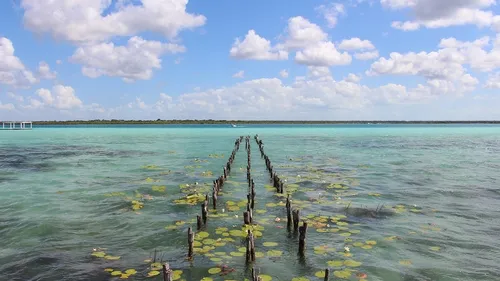 Foncez voir le lac de Bacalar au Mexique !