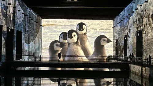 Bordeaux : dernière chance de voir ces expositions pendant les...