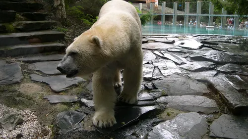 La Flèche : « Une Saison au Zoo » de retour le 30 août