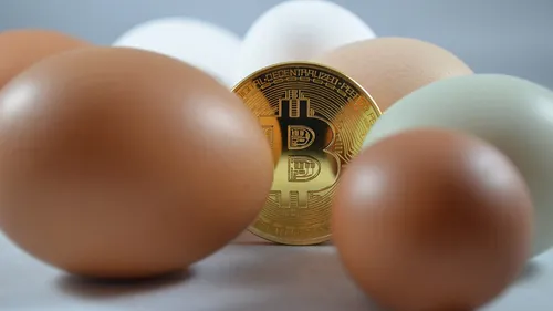 Qu'est-ce que le bitcoin, la reine des cryptomonnaies ?