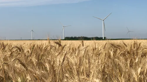 Agriculture : 900 postes saisonniers à pourvoir en Centre-Val de Loire