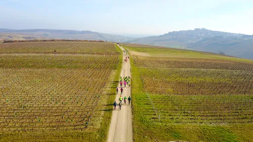 Vibration partenaire de la 73ème édition du BOURGES-SANCERRE