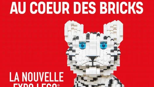 Nos idées sorties pour le week-end du 22 au 24 mai