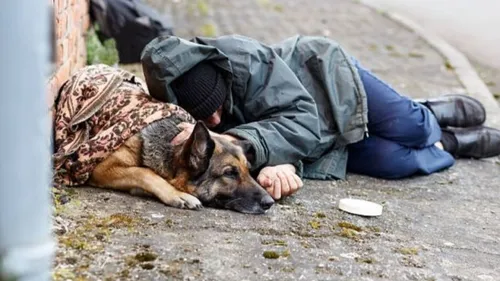 Paris : un SDF porte plainte après qu’on lui ait volé son chien