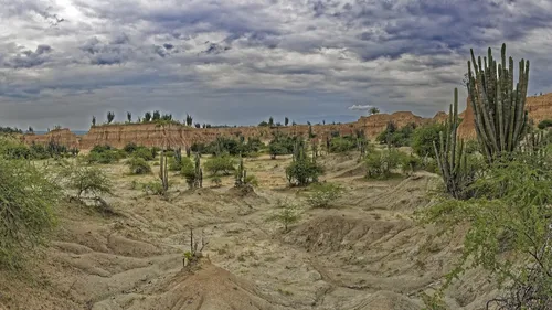 Escapade Latina à Neiva, en Colombie