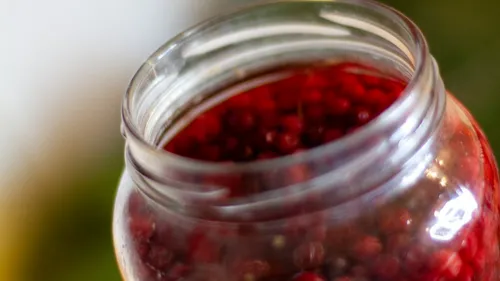 Shakira : le "mystère de la confiture" prend fin 