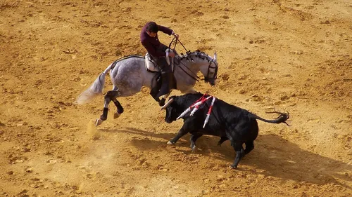 Portugal : la corrida interdite au moins de 16 ans