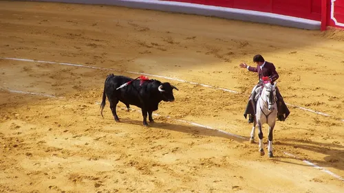 Mexico interdit la corrida avec mise à mort
