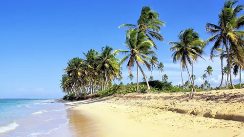 On part où cet été ?