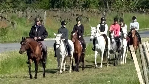 Evadez-vous cet été aux Écuries de Brandeau !