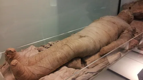 Il momifie sa mère pour toucher ses allocations