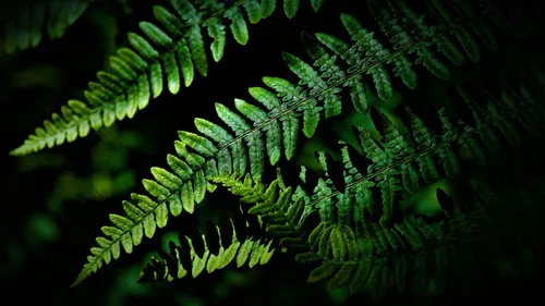 A Nevers, un atlas pour protéger la biodiversité