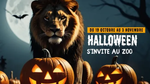 Nos idées sorties pour ce week-end du 1er au 3 novembre