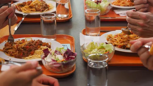 Dans une commune de Gironde, les restes de cantine nourrissent...