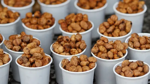 Des spécialités espagnoles insolites à découvrir.