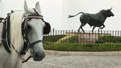 Vous ne verrez plus de chevaux dans les rues de Malaga.