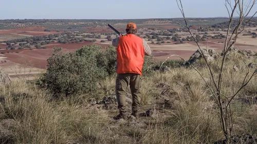 L’Angevin, touché par une balle perdue d’un chasseur en Bretagne,...