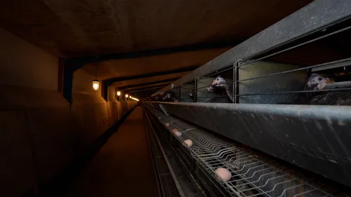 Les 4 infos du jeudi 10 août