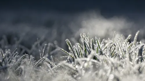 Météo : le froid au rendez vous dès ce week-end en Gironde et en...