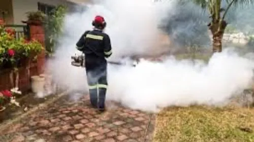 Bergerac : de nouvelles opérations de démoustication d'envergure...