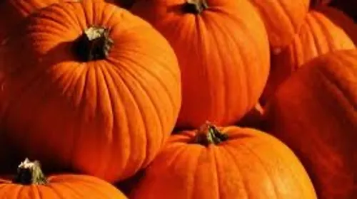 Gironde et Dordogne : nos idées sorties pour ce week-end du 10 au...