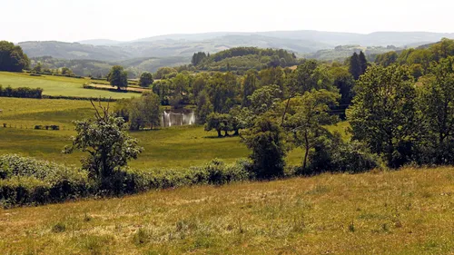 Bourgogne: le parc naturel du Morvan veut anticiper le changement...