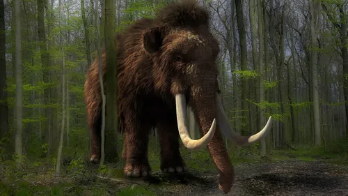 Une entreprise américaine veut faire renaître les mammouths laineux 
