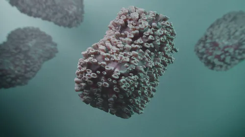 Un premier cas de variole du singe détecté en Pays de la Loire