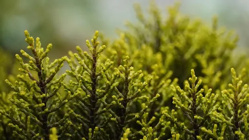 L'un des plus beaux jardins du monde se trouve en Dordogne 