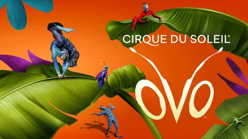 Nos idées sorties pour le week-end du 16 au 18 octobre