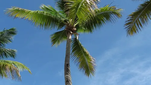 Escapade à Las Galeras, le village où la route s'arrête