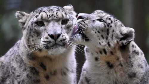 Plantes, Lumigny et observation du ciel… : trois idées de sortie...